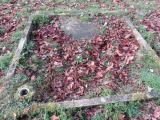 image of grave number 739335